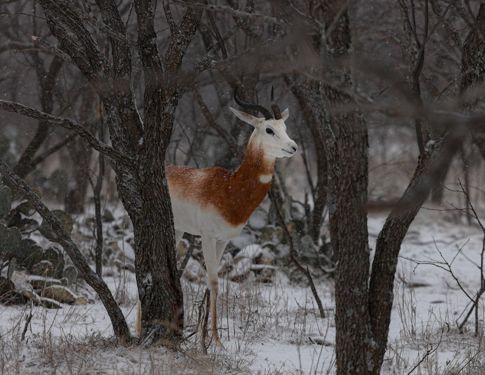 Kaiser Creek Ranch FAQ